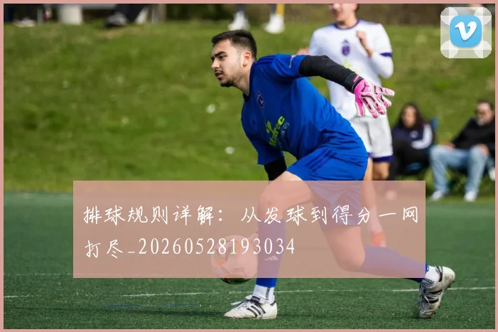 排球规则详解:从发球到得分一网打尽_20260528193034
